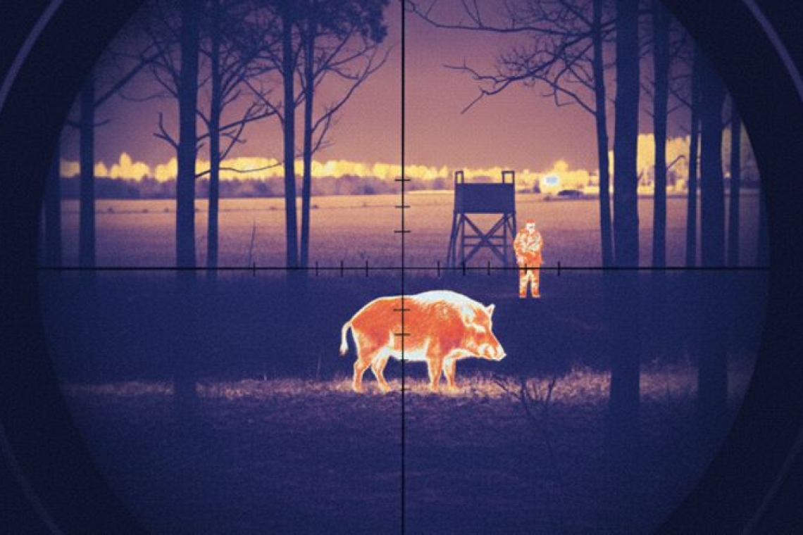 Zabójstwo na polowaniu