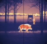 Zabójstwo na polowaniu pod Milejowem: Myśliwy może opuścić areszt za kaucją