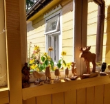 Kochanie zabierz z miasta mnie, czyli podróżujemy ROWEREM!